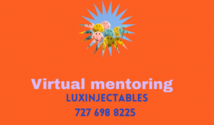 Virtual Mentoring